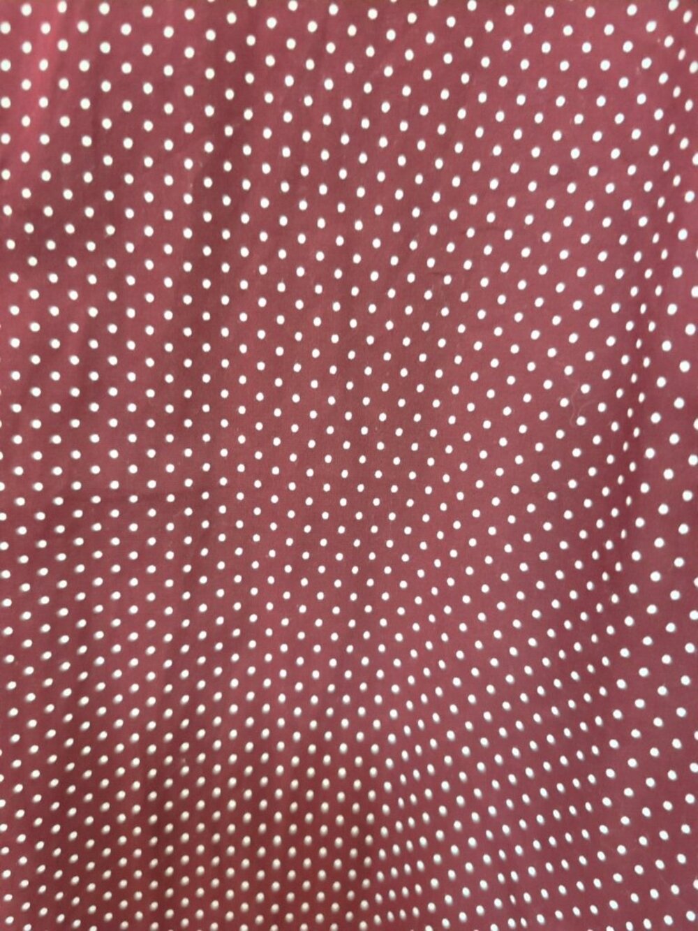 Cactus Man Ricky Singh Shirt Mens L Red White Long Sleeve Button Up Polka Dot - Picture 4 of 9